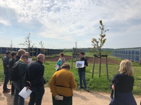 Auf Exkursion im BIODIV-SOLAR-Projekt der Hochschule Anhalt. Foto: Tina Bär.