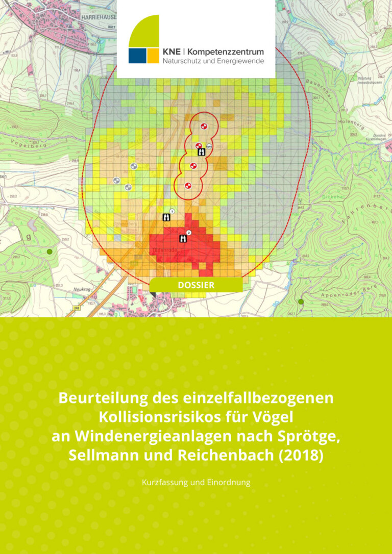 Rasterkarte Landschaft