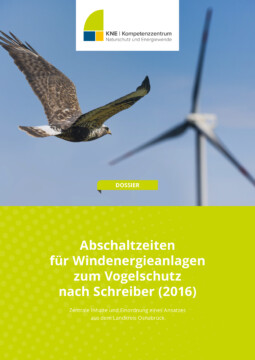 Greifvogel im Flug vor Windenergieanlage