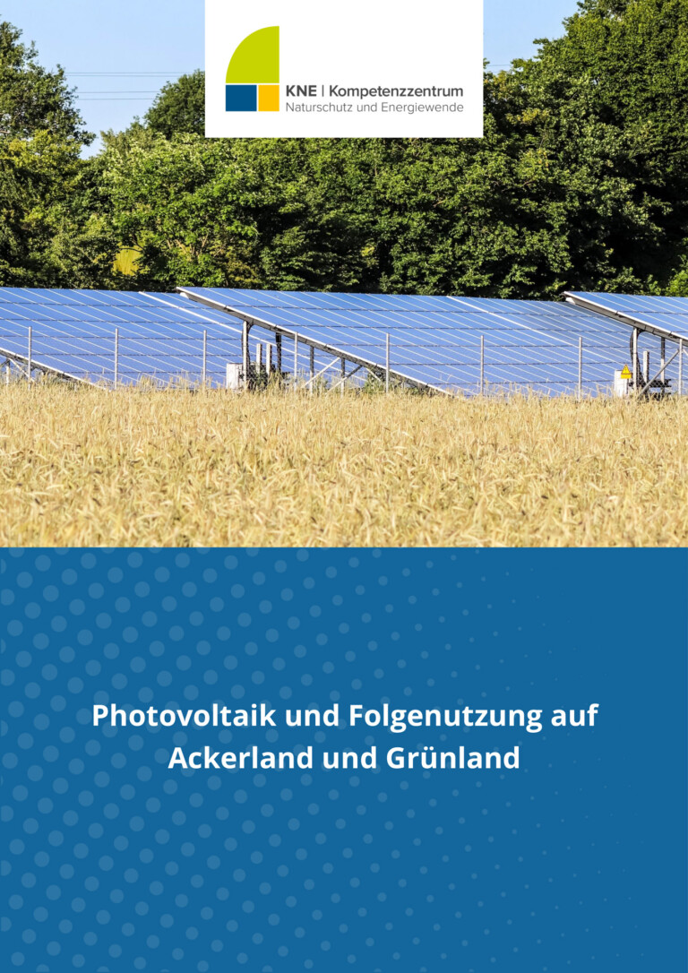 Getreidefeld mit Solaranlagen