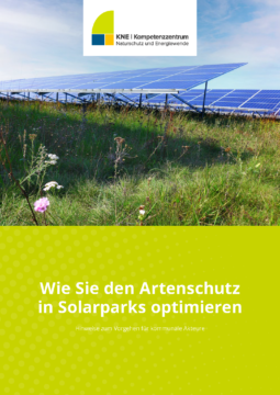 Solarpark mit Wiese