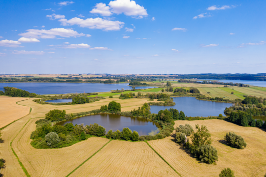 Aussicht auf den Uckersee und die Landschaft der Uckermark-Foto: Tilo Grellmann, adobe.stock