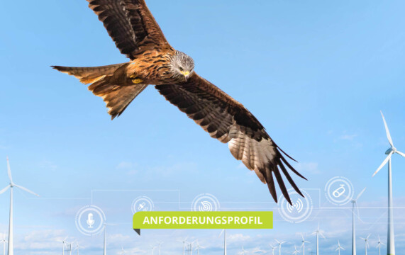 Greifvogel vor Himmel und Windrädern