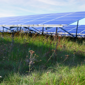 Photovoltaikanlagen auf der Freifläche, Foto: Natalie Arnold