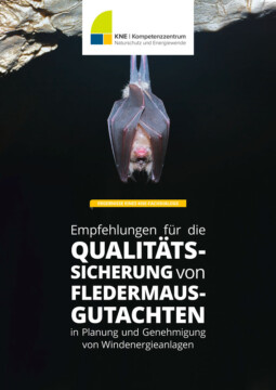 Fledermaus hängt kopfüber.