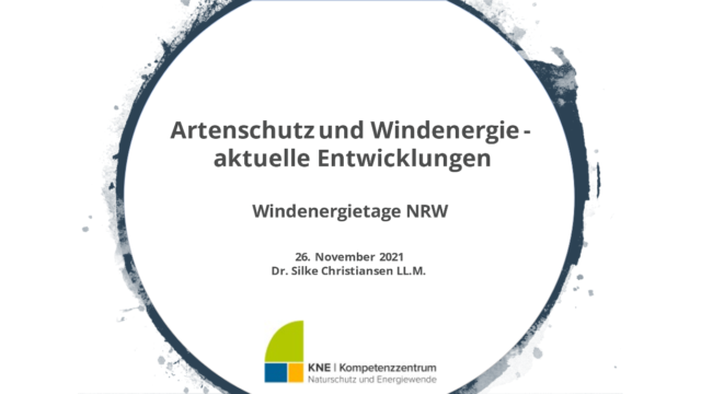 Deckblatt Artenschutz und Windenergie - aktuelle Entwicklungen