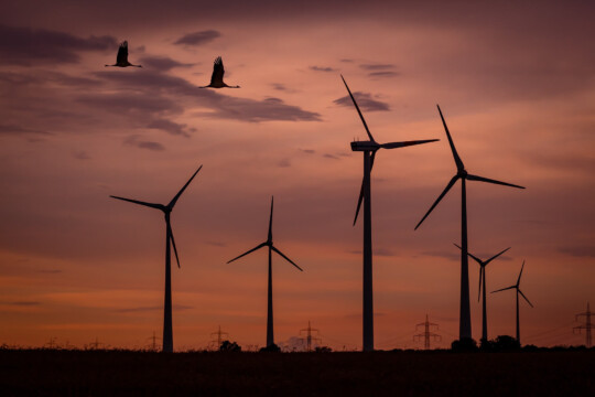 Windenergieanlagen im Sonnenuntergang