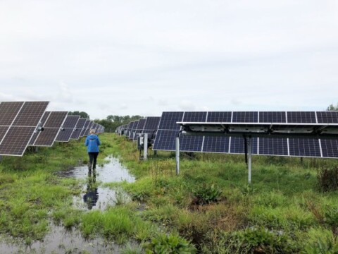 Solarmodule in Landschaft, Moor