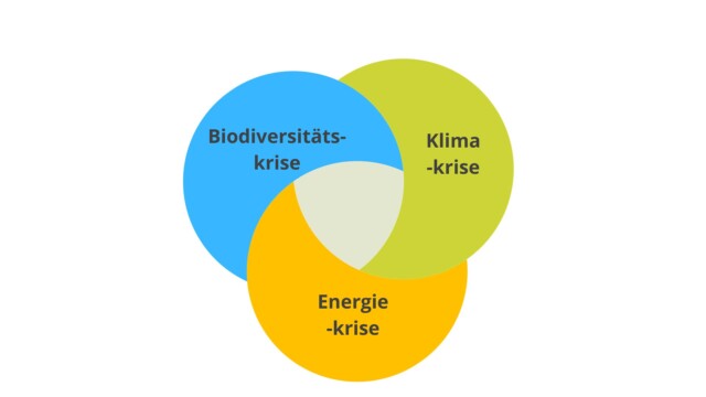 Grafik zur Dreifachkrise