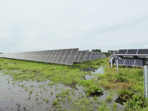 Solarmodule in Landschaft, Moor