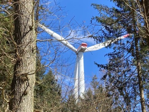 Windenergieanlage im Wald