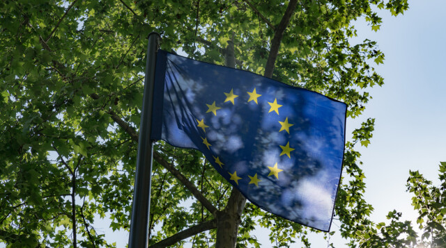 EU-Fahne vor einem Baum und Himmel